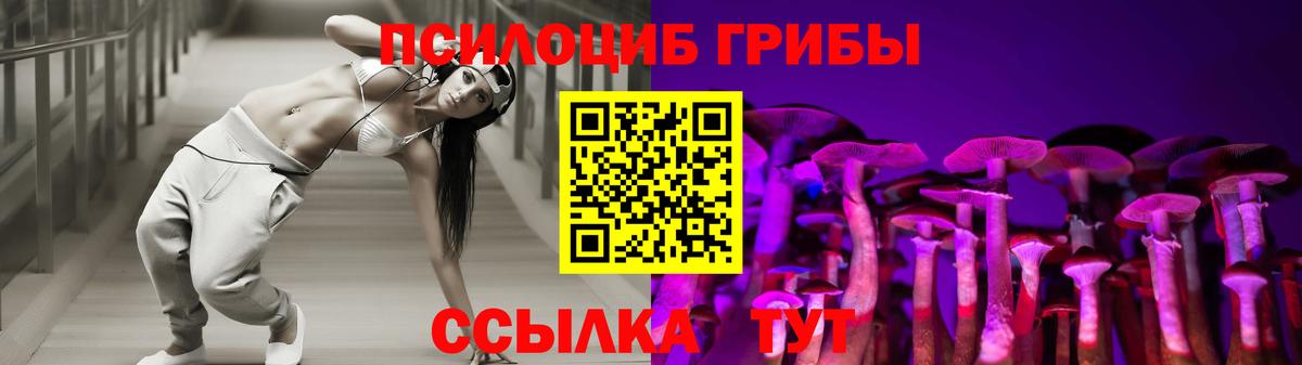 Псилоцибиновые грибы Cubensis Миасс